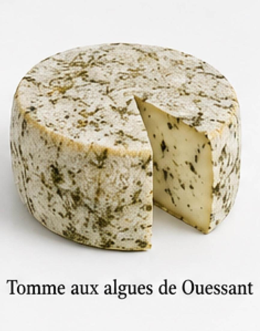 Tomme aux algues de Ouessant